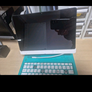 도요새 잉글리쉬 도요새 중국어