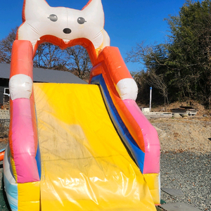 강아지 코스튬 대형 에어바운서