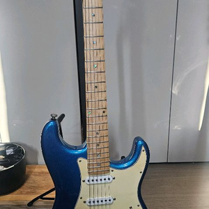 덱스터 슈퍼스트랫 일렉기타 국내제조