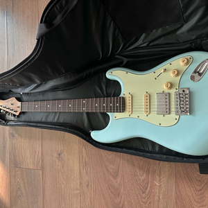 바커스 일렉기타 BST-2-rsm