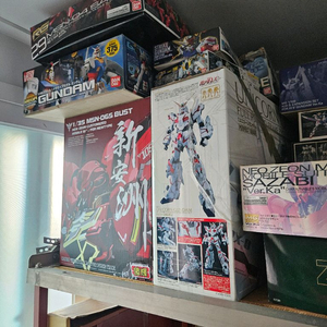 시난주rg 이미지