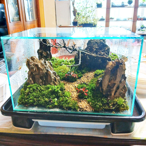 기암괴석 대형 이끼 분경 테라리움 다양하게 정리중이니 구경오세요