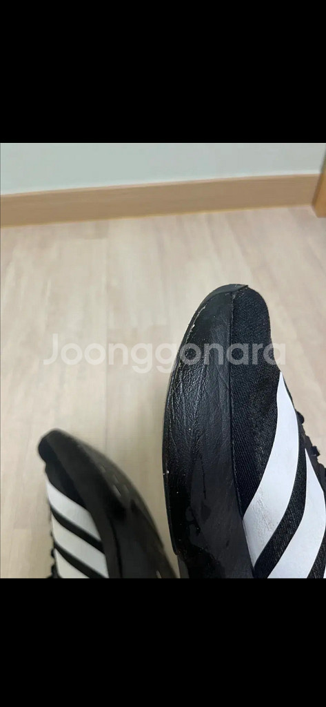 아디다스 아디제로 에보슬 러닝화 255--3