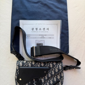 디올 오블리크 새들 파우치 크로스백