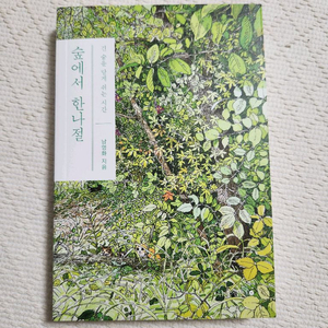 숲에서 한나절 (책)