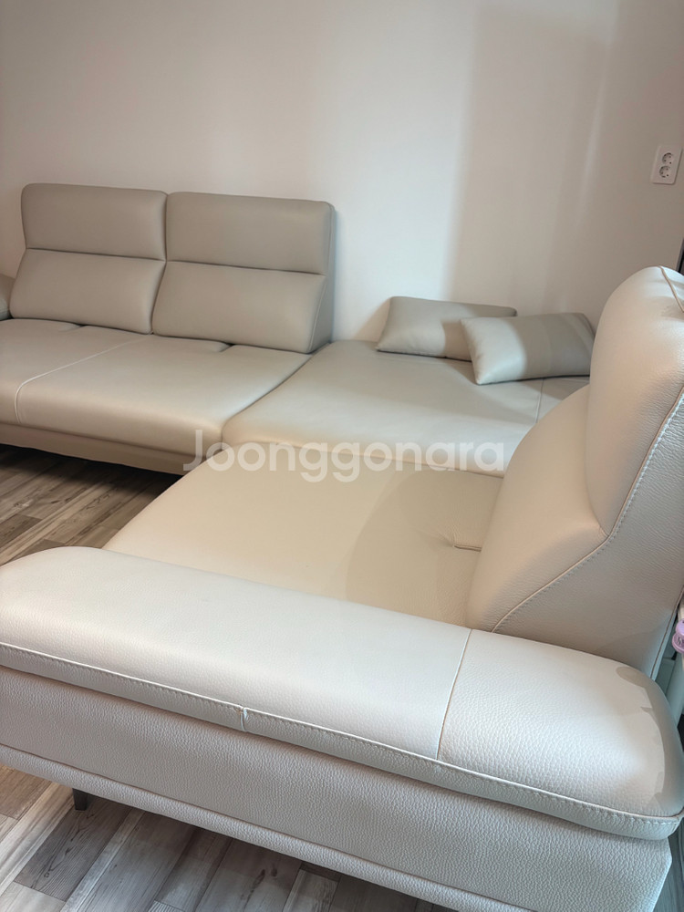 가죽 스윙 소파--2