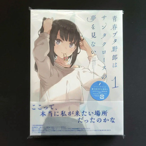 청춘돼지는 산타클로스의 꿈을 꾸지 않는다 (완전생산한정반 특전 포함)