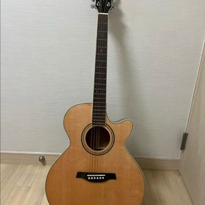 파크우드 어쿠스틱 기타 S67 팝니다
