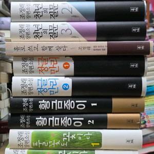 조정래 10권 이미지