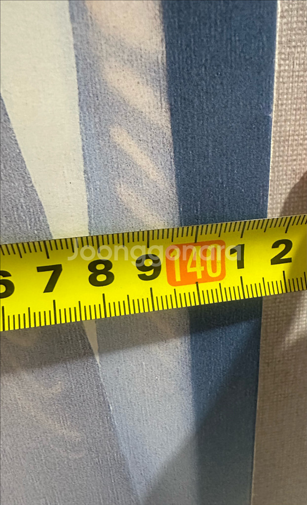 앨리스 달튼 브라운 대형 포스터 캔버스 액자--5