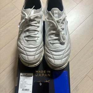 미즈노 모렐라 네오 살라 II 일본 TF