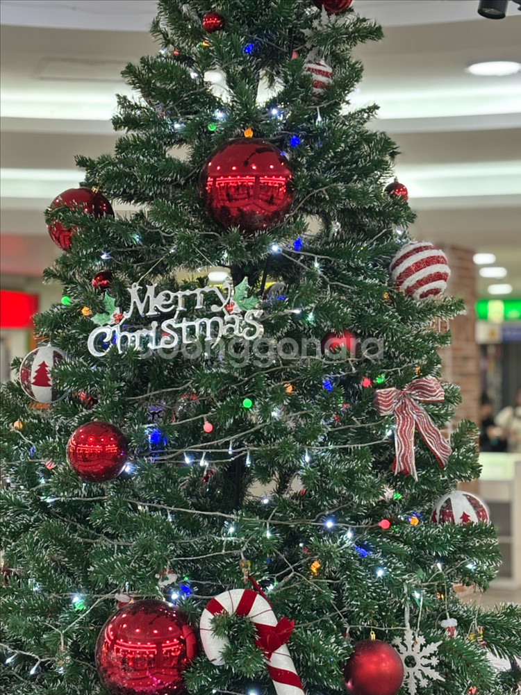 크리스마스 트리 장식 세트--0