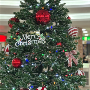 크리스마스 트리 장식 세트