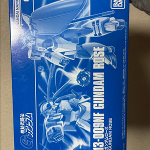 HG 로즈건담 + 델피데칼