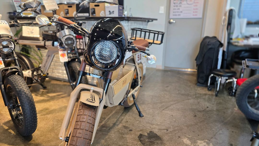 마이클블라스트 5.0 전기자전거[전동스쿠터]1000W--1