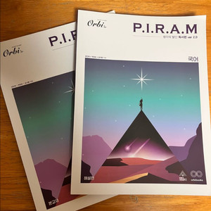 피렘 국어 생각의발단 독서편