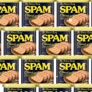 스팸클래식 300g 30개