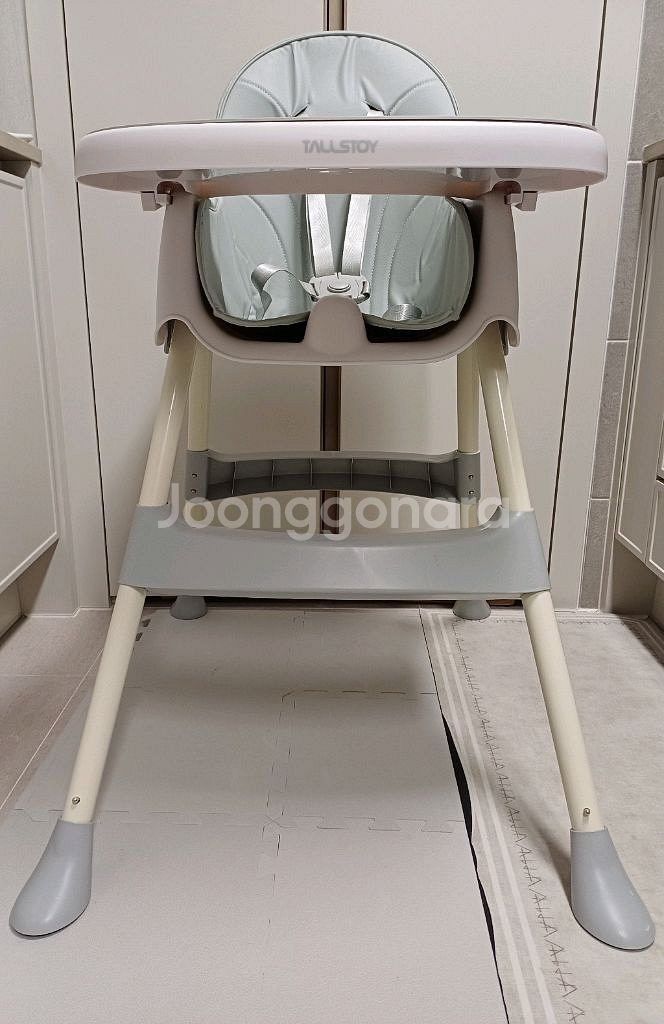 톨스토이 하이체어--0