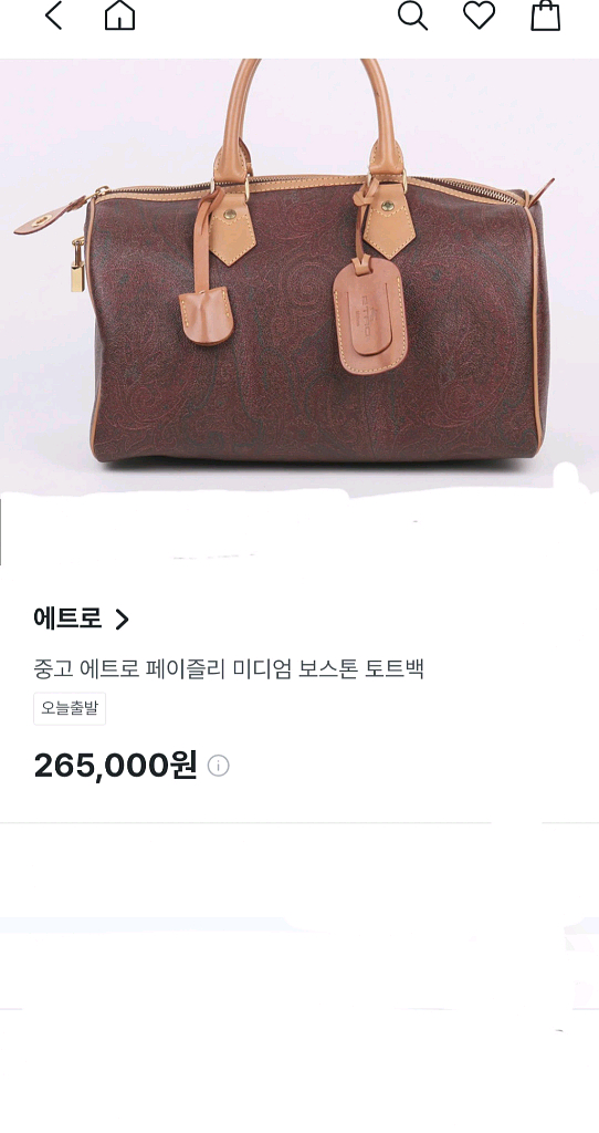 에트로 ETRO 보스턴백/ 루이비통 보스턴백--7