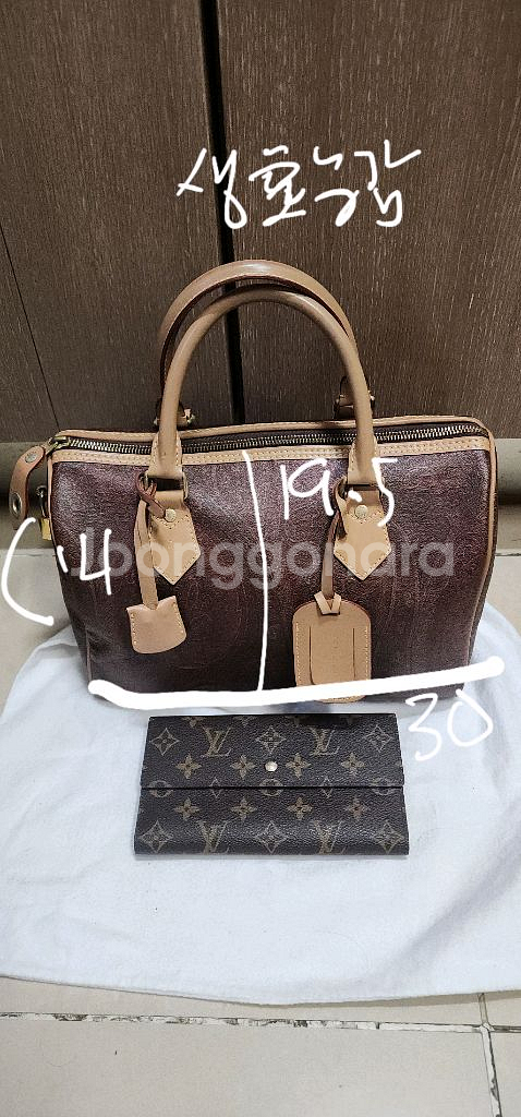 에트로 ETRO 보스턴백/ 루이비통 보스턴백--9