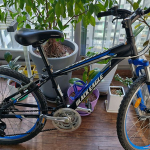 삼천리 블랙이글주니어 24인치 21단 MTB 자전거