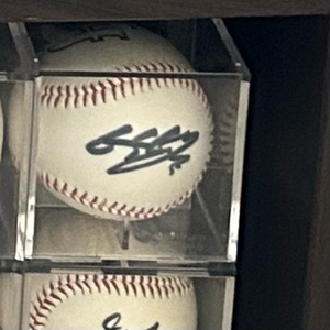싸인볼 최저가 판매 (야구선수 사인볼)