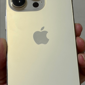 아이폰14 프로 골드 256GB