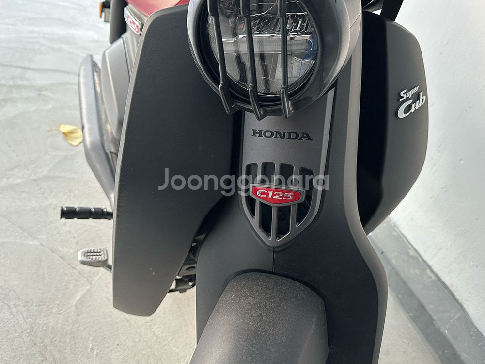 혼다 슈퍼카브 C125 스쿠터--2