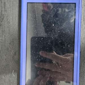 닌텐도 스위치 라이트 + 동물의숲 칩