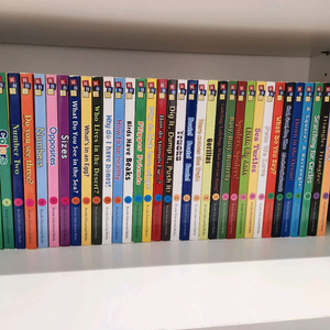 뉴 베이비 사이언스