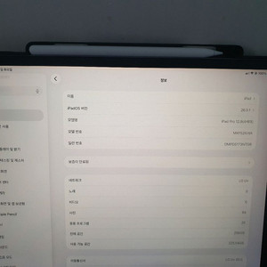 아이패드 프로 12.9인치 4세대 256GB 셀룰러