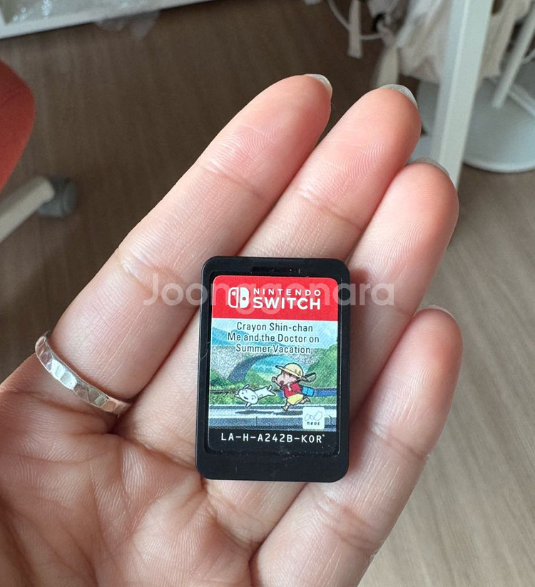 닌텐도 스위치 칩 팝니다--0