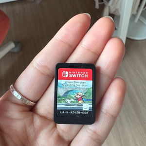 닌텐도 스위치 칩 팝니다