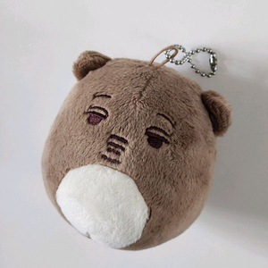 곰인이 EXO굿즈 카이 KAI 엑소카이 니니니 인형 네임택 판매 엑소 인형 양도