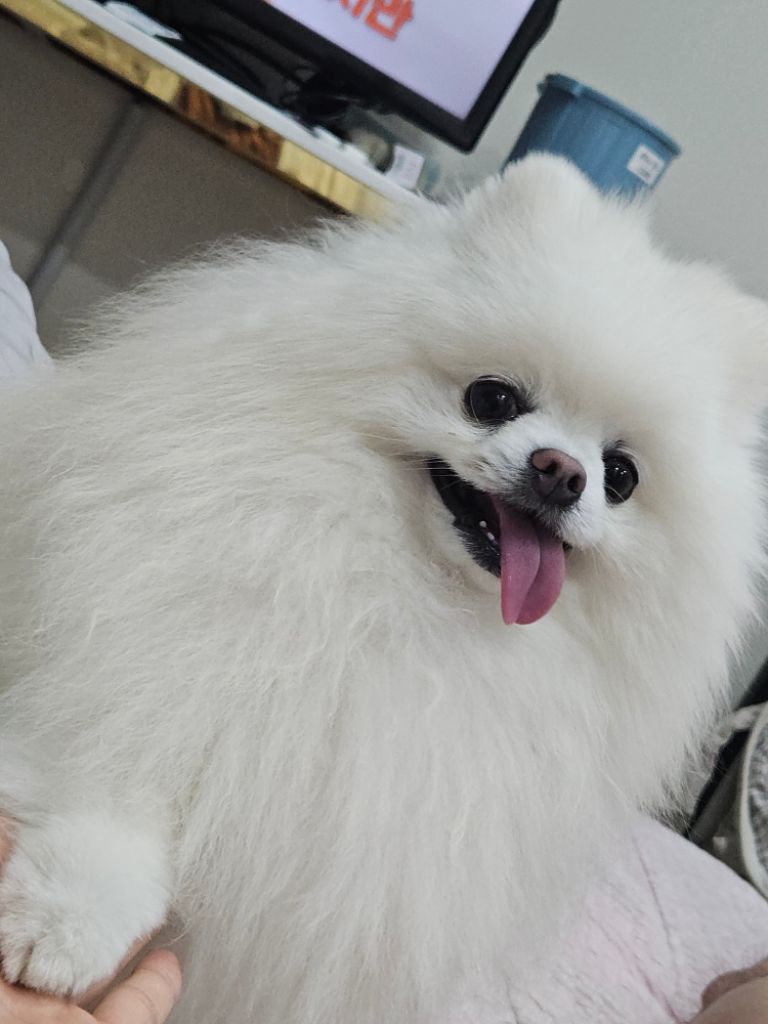 프로필 이미지