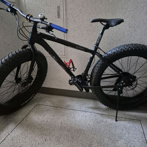 인피자엘파소 펫바이크