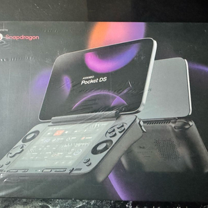 아야네오 포켓 ds