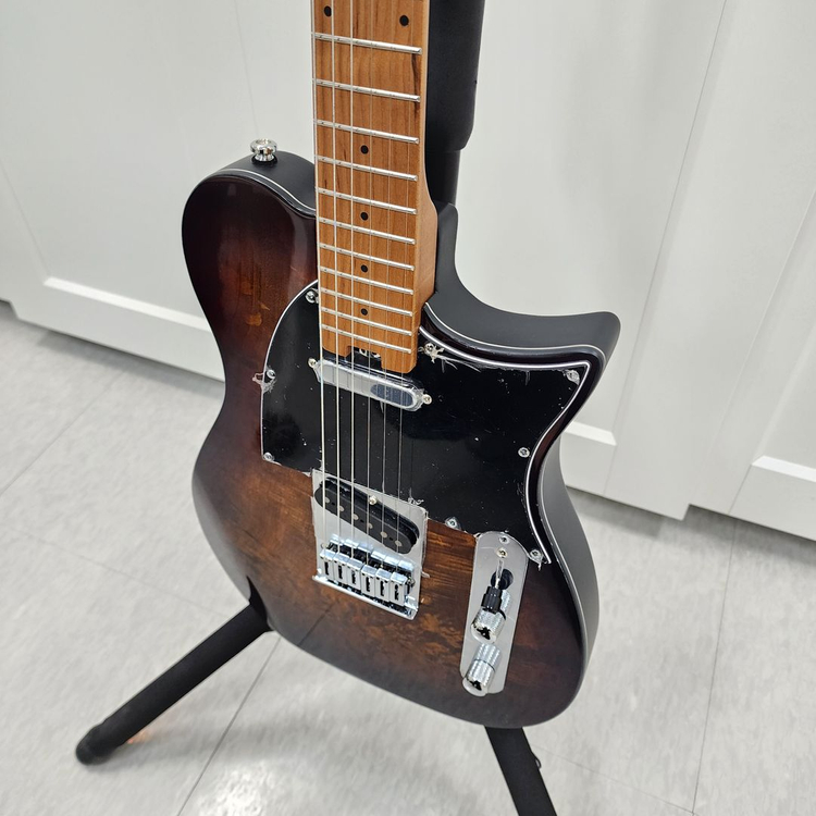 헥스 텔레캐스터 일렉기타 T260 VB--3