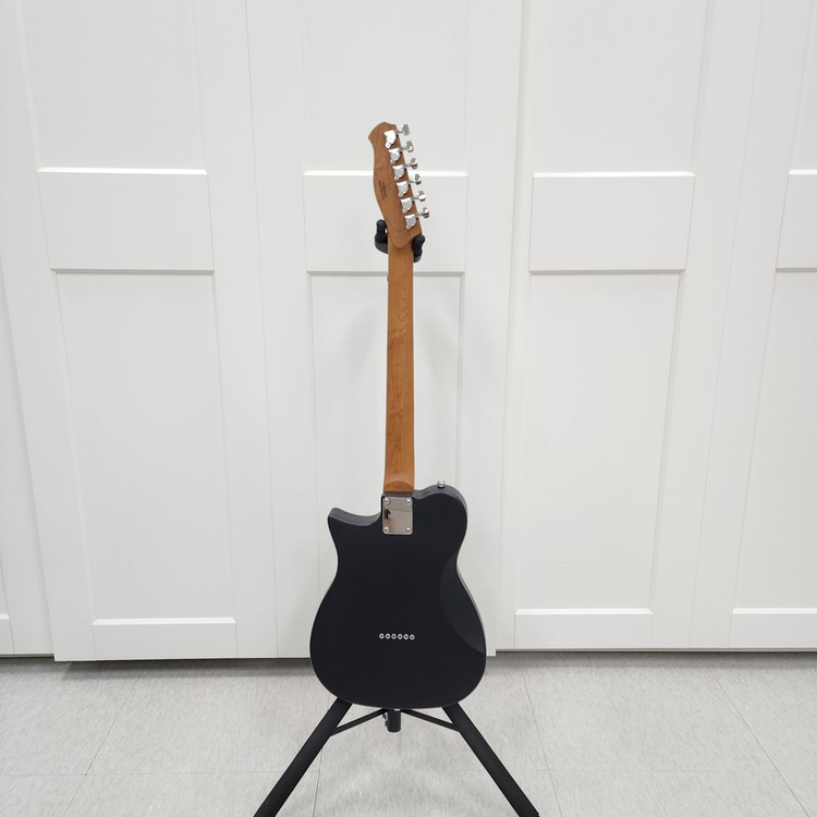 헥스 텔레캐스터 일렉기타 T260 VB--8