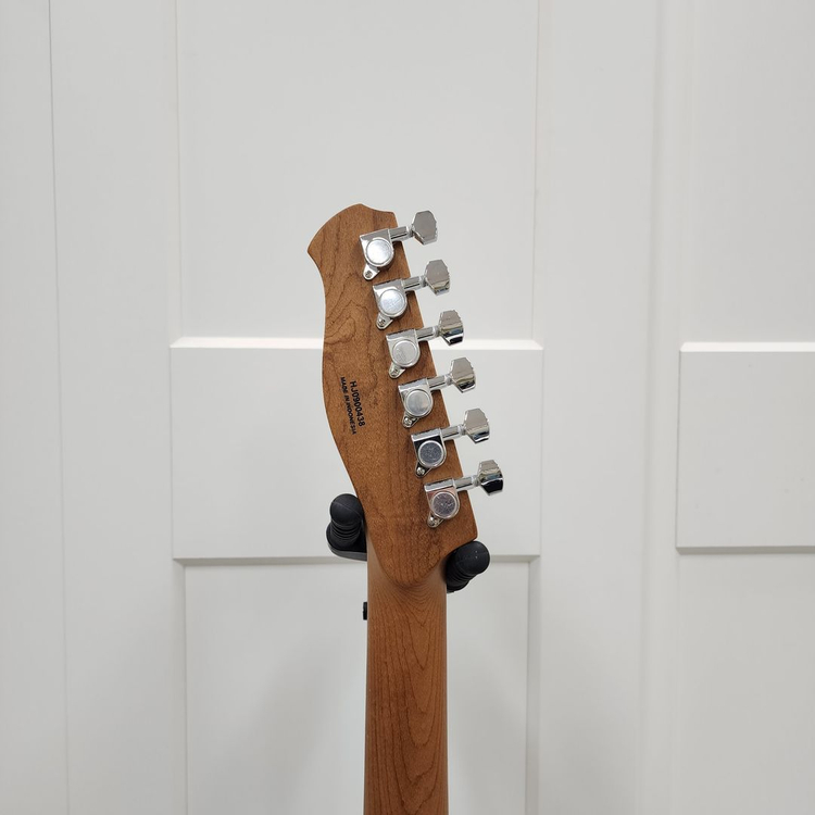 헥스 텔레캐스터 일렉기타 T260 VB--9