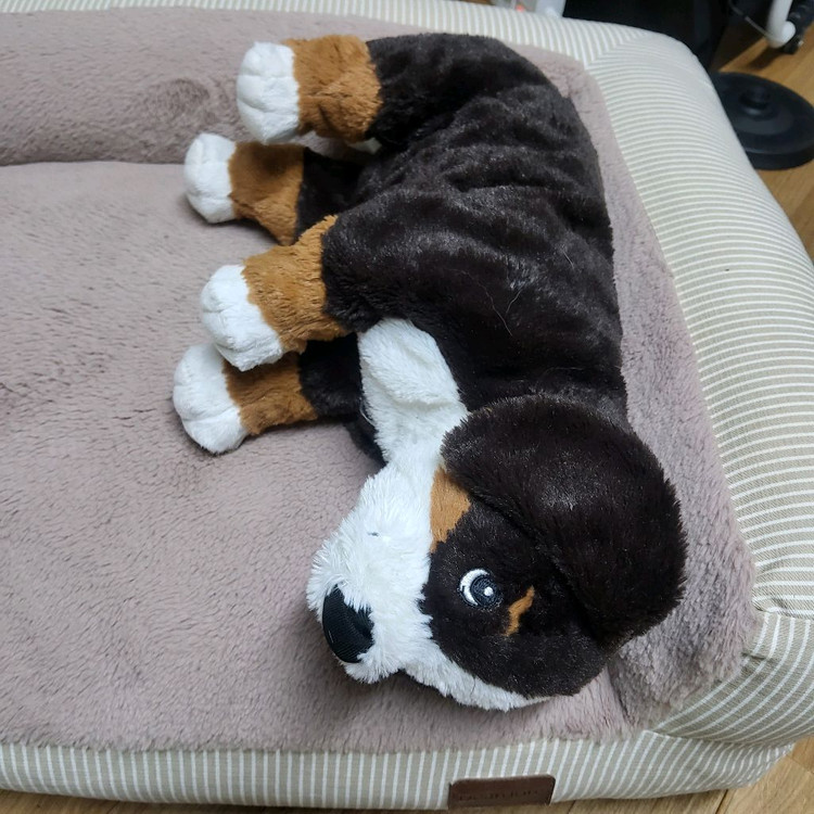 디어도르 퍼스트클래스 강아지침대 애견 쿠션 방석--1