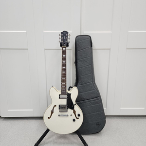 헥스 세미할로우 일렉기타 Q300 아이보리