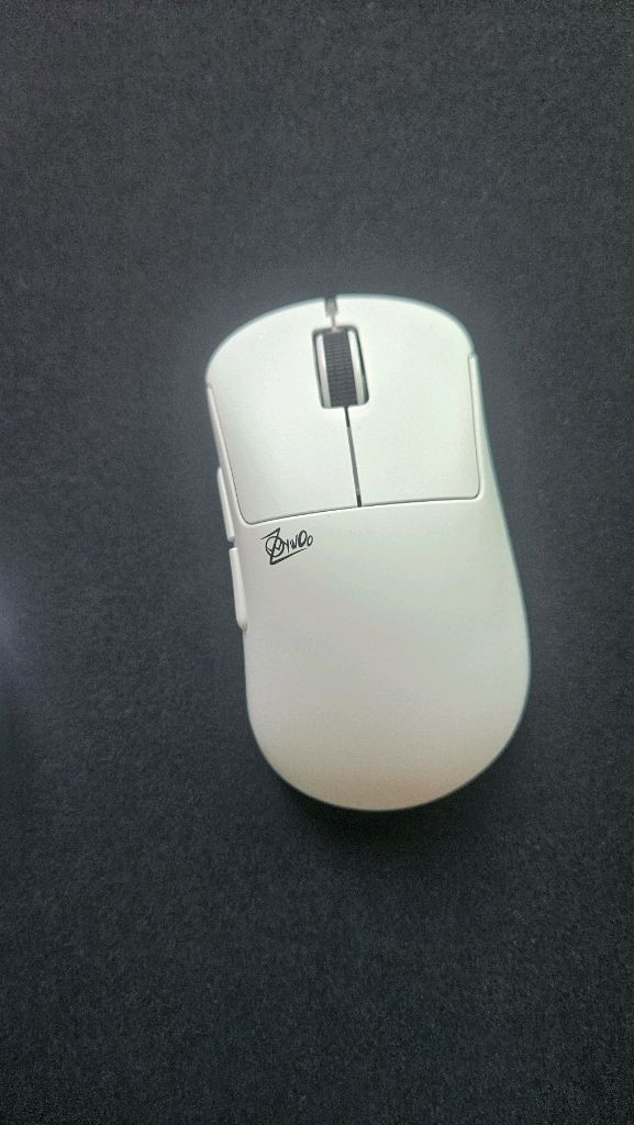 펄사 자이우 미니,미디움 판매 개당금액--0