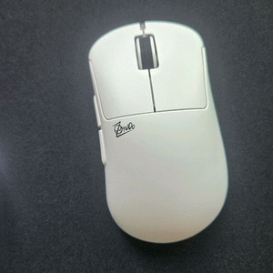 펄사 자이우 미니,미디움 판매 개당금액