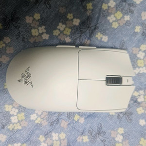 레이저 바이퍼 v3 프로 개당가격