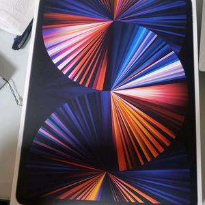 아이패드 프로 5세대 12.9 빈박스 팝니다(+충전기)