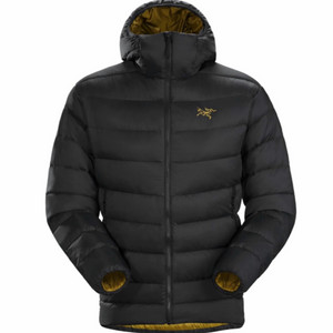 아크테릭스 토륨 24k L/LX구매합니다