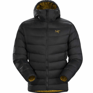 아크테릭스 토륨 24k L/LX구매합니다