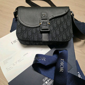 디올 새들 오블리크 메신저백