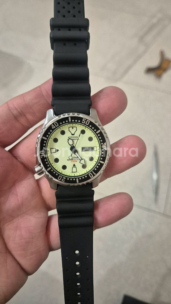 시티즌 복어 풀루메 ny0040--0